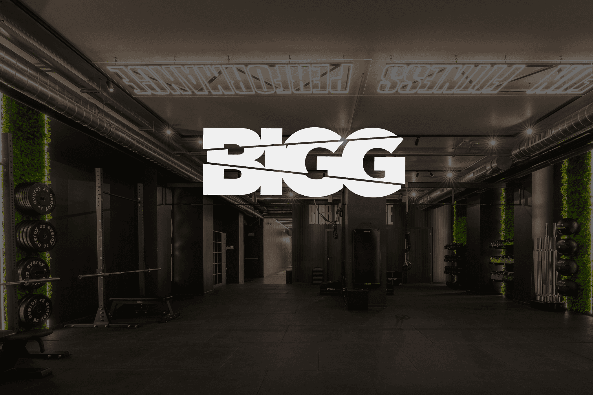 Bigg Fit